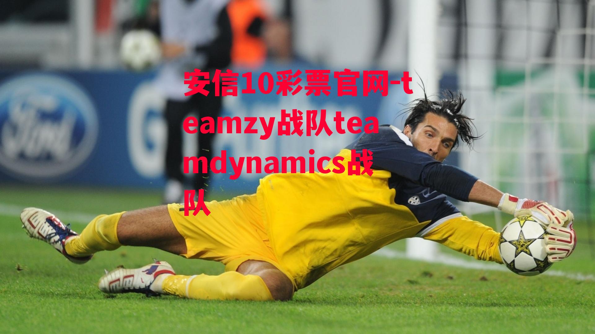 teamzy战队teamdynamics战队